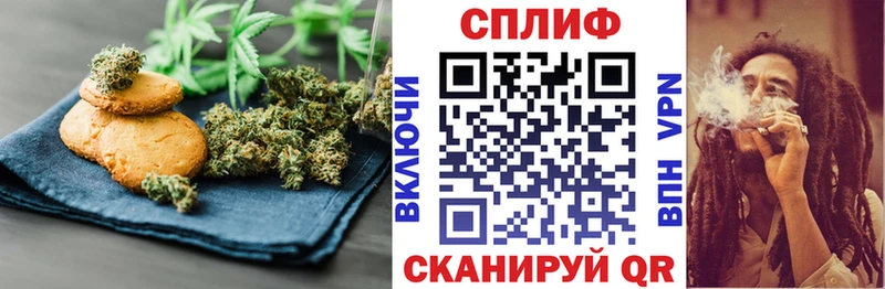 продажа наркотиков  Черкесск  Cannafood конопля 