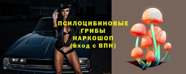 трава Абинск