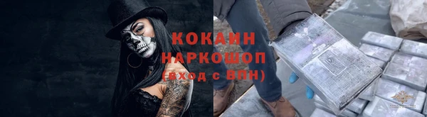 spice Абаза