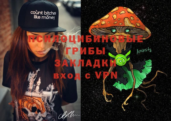 мдпв Абдулино